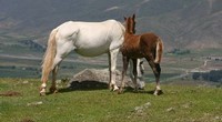 Tafi del Valle_05